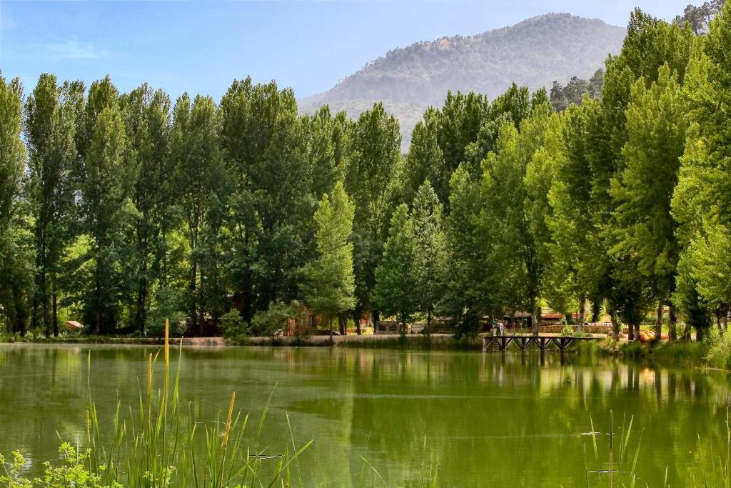 Hotel Rural Noguera De La Sierpe 阿罗约弗里奥 外观 照片